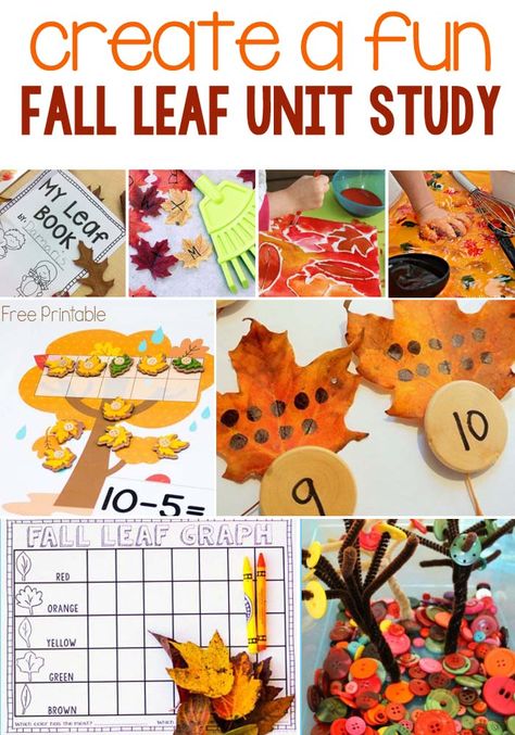 Leaf Lessons For Kindergarten, Autumn Social Studies Preschool, Fall Leaves Kindergarten Activities, Leaf Unit Study Kindergarten, Leaf Thief Activity, Going On A Leaf Hunt Activities, The Leaf Thief Activities, Diy Snow Globe Mason Jar, Fall Unit Study