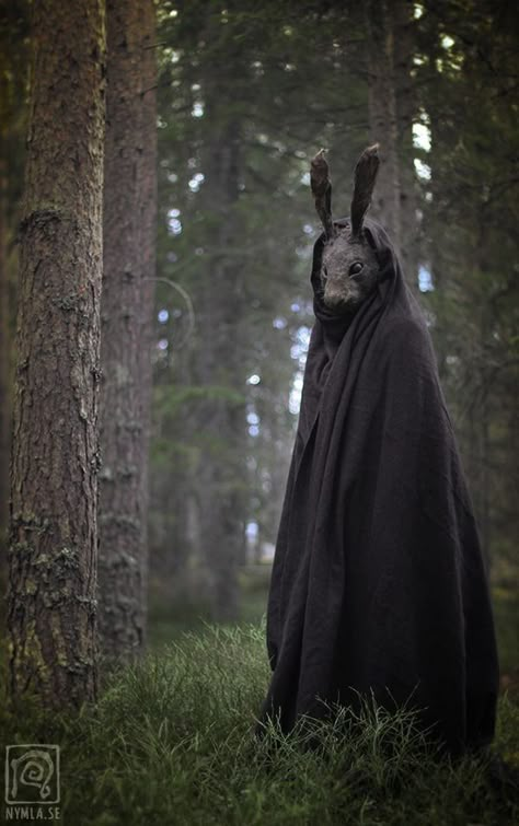 Black Cloak, Creepy Photos, Bunny Mask, 다크 판타지, Art Brut, A Bunny, Dark Photography, Pulp Fiction, An Animal