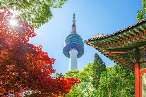 Autumn In Korea, Namsan Tower, Visit Seoul, Popular Travel Destinations, Ancient Buildings, Jeju Island, Korea Travel, Autumn Scenery, Explore Travel