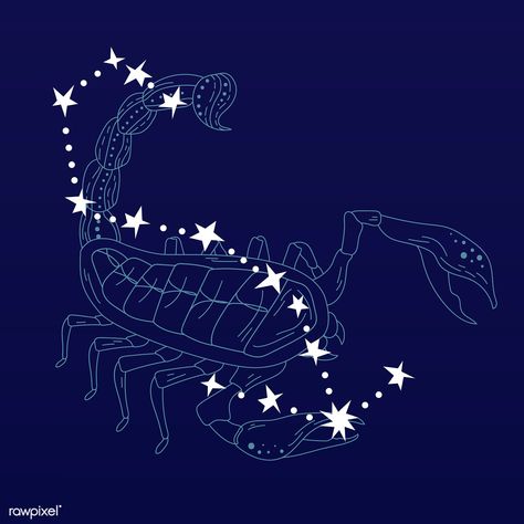 Scorpio astrological sign design vector | premium image by rawpixel.com / nap Astrology Tumblr, Astrology Signs Compatibility, Astrology Signs Aries, Scorpio Art, Astrological Symbols, Scorpio Sign, Virgo Moon, Scorpio Moon, Free Hand Drawing