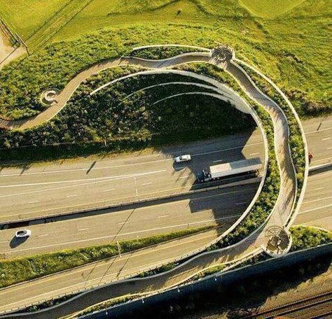 Villa Architecture, Architecture Cool, Vancouver Washington, Landscape Architecture Design, Green Architecture, Pedestrian Bridge, Bridge Design, Rain Water Collection, Futurism