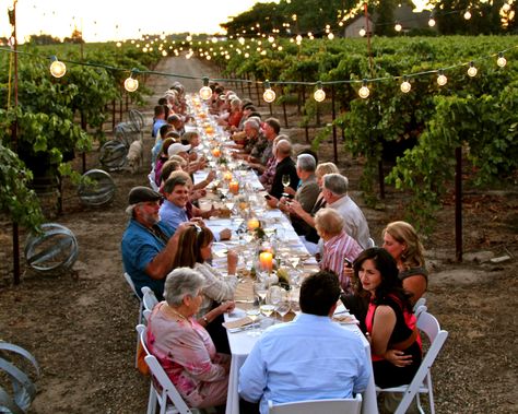 LoCA Lifestyle, Vineyard Dinner. Courtesy Randy Caparoso Vineyard Dinner Party, Vineyard Dinner, Winery Wedding Decorations, Wedding Event Venues, Wedding Party Photos, Long Table, Wine Tour, Winery Weddings, Summer Events