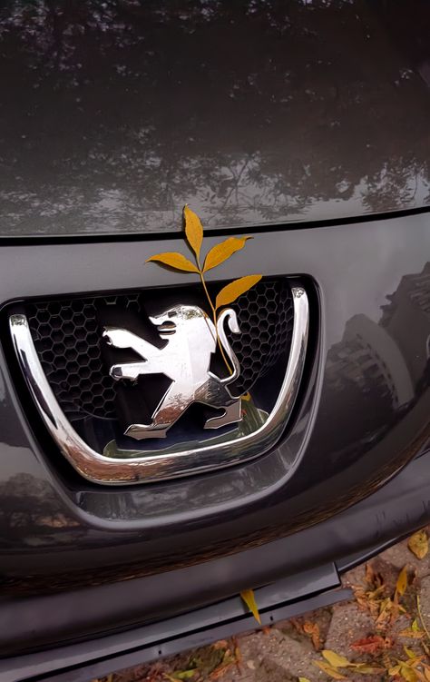 A little car aesthetic is something that I think a lot of people enjoy. And who can say no to a autumn one! 🍁🍂 Peugeot Aesthetic, Brow Studio, Peugeot 3008, Peugeot 208, Car Aesthetic, Take A Picture, The Leaf, First Car, Girl Wallpaper