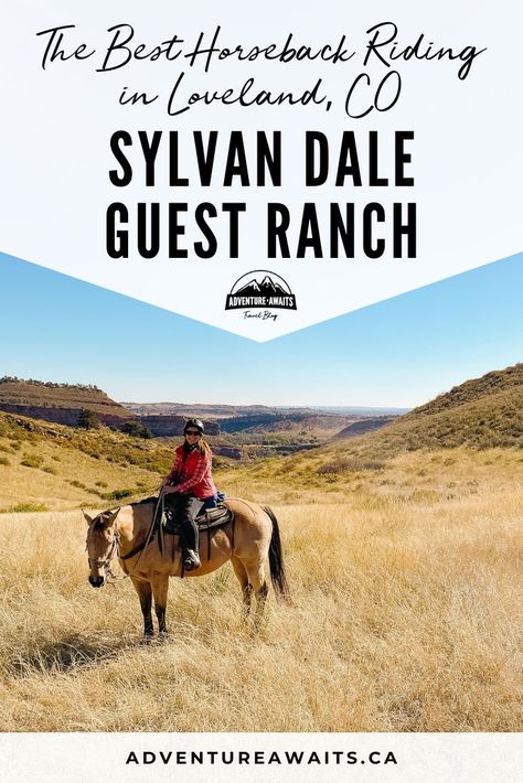 Are you wanting to hit the trails & go horseback riding in Loveland, Colorado? Here's a guide on Sylvan Dale Guest Ranch & what you can experience! Horseback Riding Colorado Springs, Horseback Riding In The Mountains, Horseback Riding Vacations, The Incline Colorado Springs, Loveland Colorado, Dude Ranch Vacations, Snow Mountain Ranch Colorado, Colorado Wolf And Wildlife Center, Riding Lessons