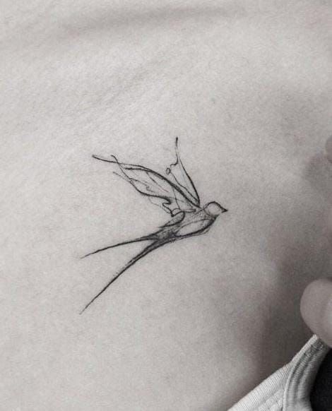 Bird Line Drawing Tattoo, Swallow Line Tattoo, Scissortail Flycatcher Tattoo, Swallow Tattoo Ideas, Swallows Tattoo, Tattoo Swallow, Swallow Tattoos, Sparrow Drawing, Sparrow Tattoo Design