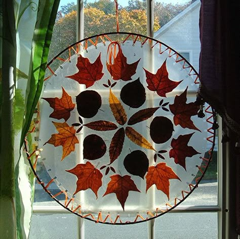 Autumn Decor/Craft    I Just sandwiched the leaves between sheets of clear contac paper that I had cut into circles; then, laced them into the metal ring with narrow orange satin ribbon, thru holes I had punched ! Autumn Leaves Craft, Leaf Crafts, Autumn Crafts, Forest School, Reggio Emilia, Nature Crafts, Autumn Activities, Autumn Art, Leaf Art