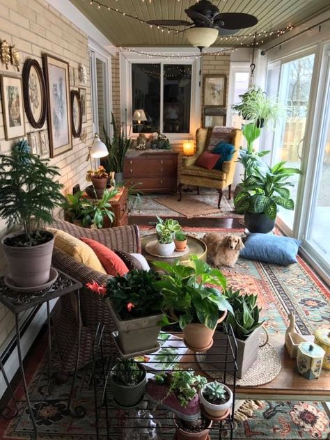 Plant Sitting Room Aesthetic, Planty Rooms, Eclectic Sunroom, Botanical House, Small Sunroom, Concrete Patios, Plant Room, Sunroom Decorating, Decor Ideas Bedroom