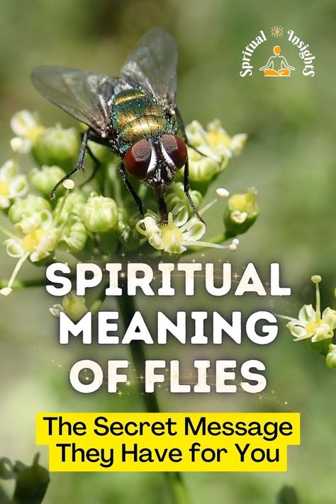 Spiritual Meaning of Flies – The Secret Message They Have for You Fly Meaning Spiritual, Spiritual Meaning Of Flies, Fly Spiritual Meaning, Fly Symbolism, Witchcraft Meaning, Killing Flies, Witch Meaning, Spirit Animal Meaning, Flies Outside