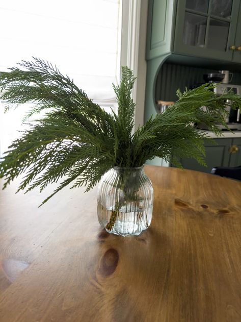 5 Holiday Centerpiece Ideas Using Joanna Gaines’ Clever Hack | Apartment Therapy Dining Table Decor Centerpiece Modern, Christmas Dining Table Centerpiece, Christmas Dining Table Decorations, Dining Table Decorations, Small Pine Trees, Plaid Table Runner, Gold Table Setting, Never Going Back, Vase With Branches