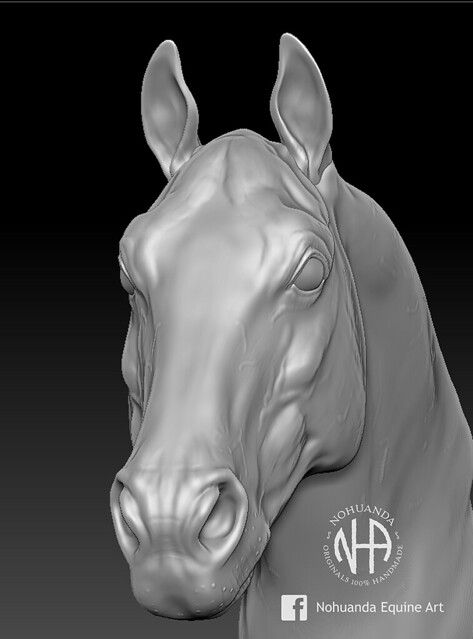 3D Quarter horse | Nohuanda Equine Art | Flickr Wood Rocking Horse, Horse Mask, Fire Horse, Horse Sketch, Animal Skeletons, Human Sculpture, Horse Anatomy, Horse Coloring Pages, Horse Artwork