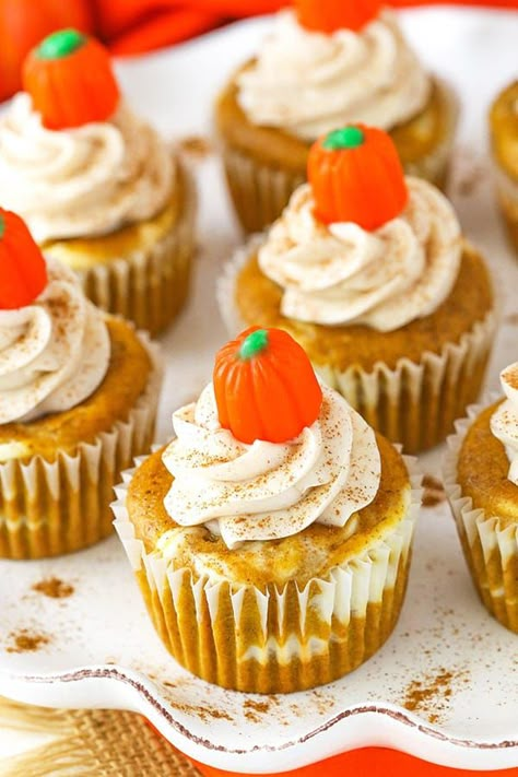 Pumpkin Cheesecake Swirl, Pumpkin Buttermilk, Pumpkin Baking, Spice Cake Mix And Pumpkin, Pumpkin Cupcake Recipes, Thanksgiving Cupcakes, Pumpkin Cupcake, Swirl Cupcakes, Infinity Scarfs