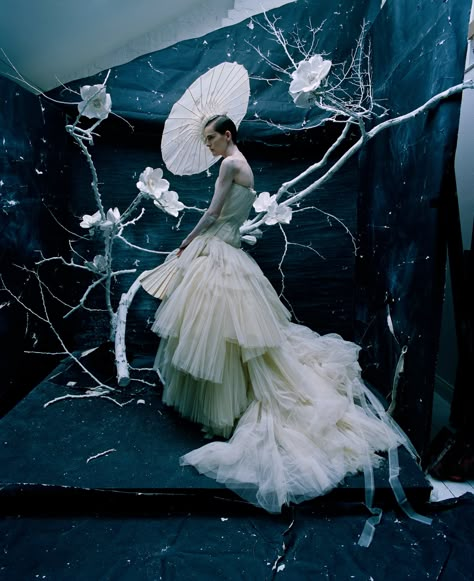 Tim Walker: ‘There’s an extremity to my interest in beauty’ | Global | The Guardian Fashion Photography Editorial Vogue, Tim Walker Photography, Editorial Vogue, Stella Tennant, Mode Editorials, Robert Mapplethorpe, High Fashion Photography, Photography Editorial, Tim Walker