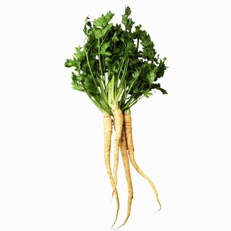 What Is the Difference Between Parsnips and Parsley Root? Sarah Britton, Parsley Root, Harvest Onions, Tasty Salad Recipes, Rice Alternatives, Broccoli Recipes Side Dish, Vegetarian Noodles Recipes, Onion Seeds, Parsley Recipes