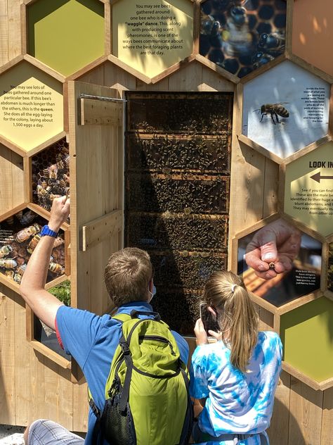 Bee Hive Structure, Bee Exhibition, Bee Museum, Competition Board, Museum Exhibition Design, Honey Brand, Honey Shop, Bee Farm, Nature Museum