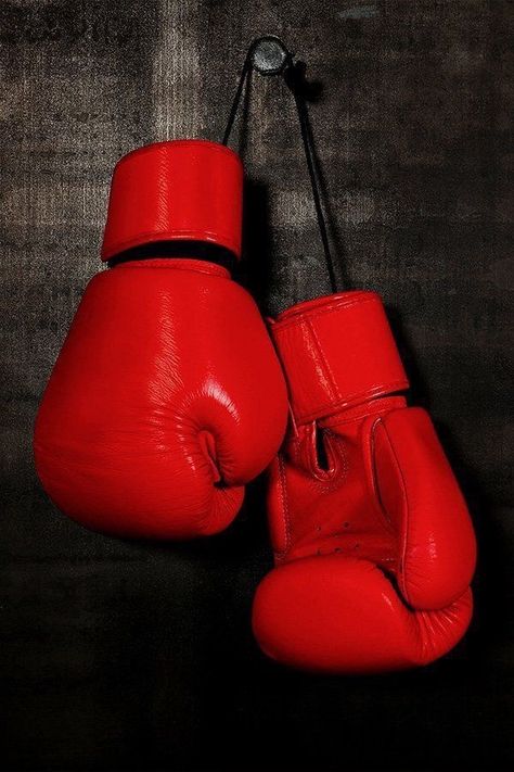 #wellpaper #viral #fyy #iphone #fyp #4k #hd #boxing TikTok Red Boxing Gloves Aesthetic, Boxing Gloves Aesthetic, Gloves Aesthetic, Red Boxing Gloves, Vector Illustration Character, Red And Black Background, Electric Panel, Boxing Bags, Boxing Girl