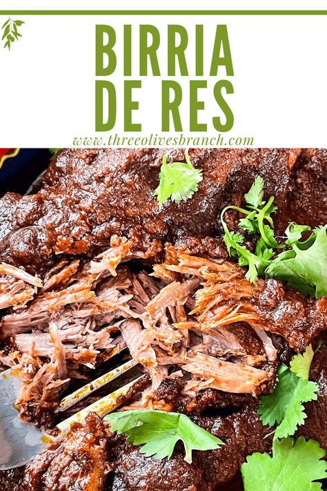 Birria de Res is a delicious traditional and authentic Mexican stew recipe. Makes great shredded beef using dried peppers. Use for dinner ideas like tacos, enchiladas, and more. Texmex Recipes, Beef Birria Recipe, Birria Recipe, Taco Recipes Mexican, Mexican Stew, Jello Salads, Chuck Steak, Dried Peppers, Mexican Tacos