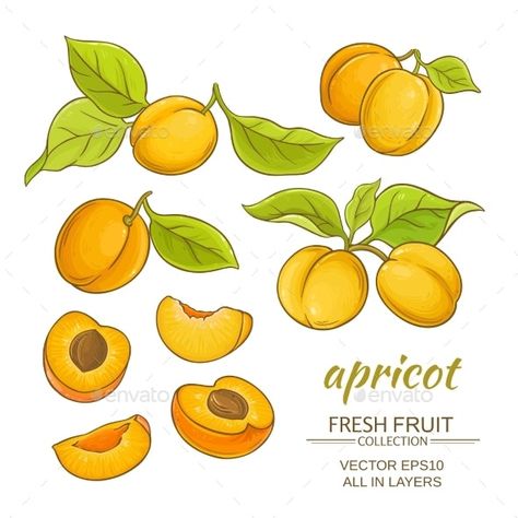 Fruits Colouring, Drawings Ideas For Kids, Drawing Fruits, Cooking Drawing, Fruits Vector, Fruit Doodle, Food Sketches, Medical Plants, Gouache Tutorial