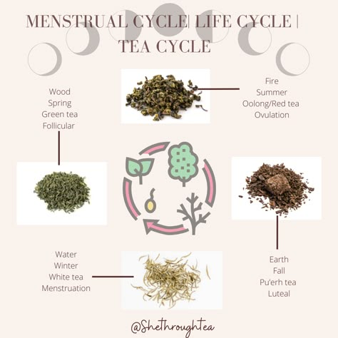 Menstrual Tea Blend, Teas For Cycle Syncing, Menstrual Cycle Tea, Tea For Cycle Syncing, Tea For Cycle Phases, Herbal Teas For Menstrual Cycle, Tea Cycle Syncing, Menstrual Cycle Drinks, Cycle Syncing Tea