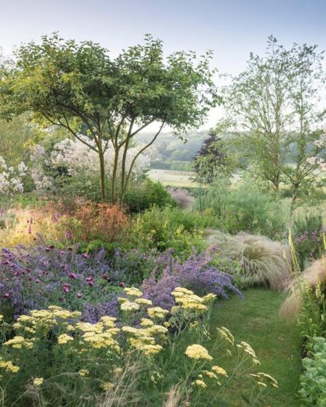 Marcus Barnett, Prairie Garden, Landscaping Inspiration, Casa Country, Garden Inspo, San Sebastian, Country Gardening, Back Garden, May 5