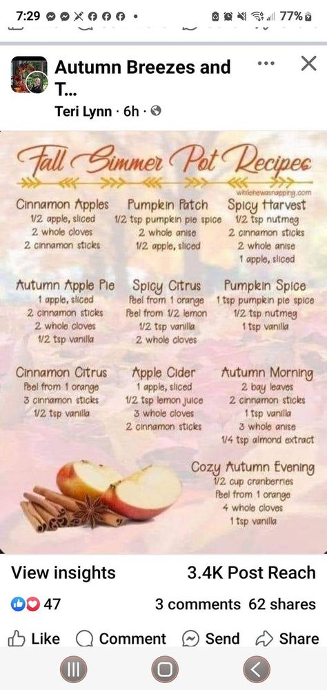 Autumn Breezes and Thanksgiving Blessings 🍂 Absolutely No Halloween 🍂 | Facebook Simmer Scents, Fall Simmer Pot, Fun Beauty Products, Simmer Pot Recipes, Stove Top Potpourri, Potpourri Recipes, Simmer Pot, Thanksgiving Blessings, House Smell Good