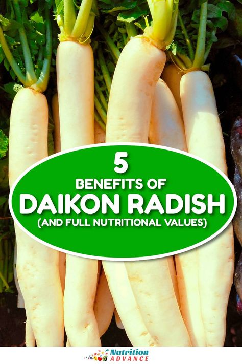 What exactly is daikon radish, and what benefits might it provide? This article presents 5 benefits of daikon radish and delves into its full nutritional values. What does it offer? And how can we use it? Radish Juice Recipe, Radishes Benefits, Daikon Radish, Nutrition Articles, Calorie Intake, Nutritional Value, Radishes, East Asia, Juicing Recipes