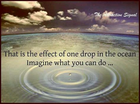 One Drop ~ The Ripple Effect ... Water Drop Quotes, Elementary School Counseling Lessons, School Counseling Lessons, Counseling Lessons, Beginning Of Year, Elementary School Counseling, Ripple Effect, One Drop, School Counseling