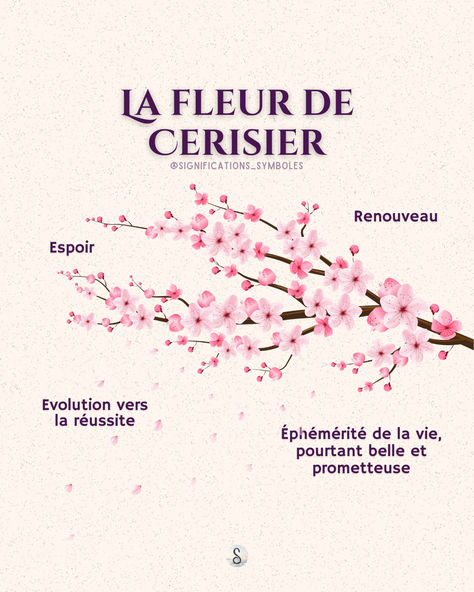 signification spirituelle de la fleur de cerisier I Tattoo, Angel, Tattoos, Flowers, Design