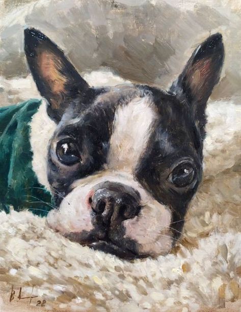 Boston Terrier Painting, Terrier Painting, Paints On Canvas, Boston Terrier Art, Dog Portraits Painting, Dog Portraits Art, Watercolor Paintings Of Animals, Dog Anatomy, Oil Painting Inspiration