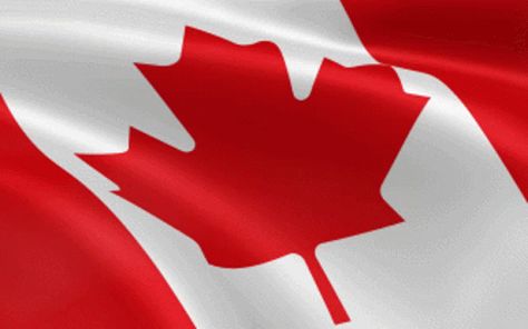 Canadian Flag Canada GIF - Canadian Flag Canada Happy Canada Day - Discover & Share GIFs Canada Gif, Flag Gif, Waving Gif, Canada Soccer, Flag Animation, Free! Gif, Canadian Football, Happy Canada Day, Canadian Flag