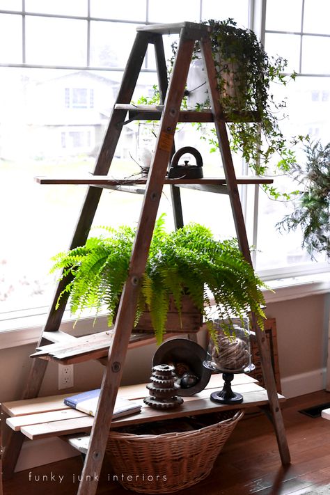 Clean, winter decorating with a ladder plant stand, via Funky Junk Interiors. Plus other memories from the past. Click here for the full story. Pallet Ladder, Diy Ladder Plant Stand, Repurpose Ladder, Upcycle Ladder, Planter Shelves, Ladder Plant Stand, Old Wooden Ladders, Old Ladder, Diy Ladder