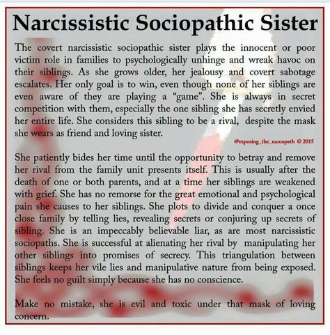 Narcissistic sociopathic sister Toxic Sister, Narcissistic Sister, Family Betrayal, Toxic Family Quotes, I Am A Survivor, Sibling Quotes, Narcissistic Family, Narcissism Relationships, Narcissistic People