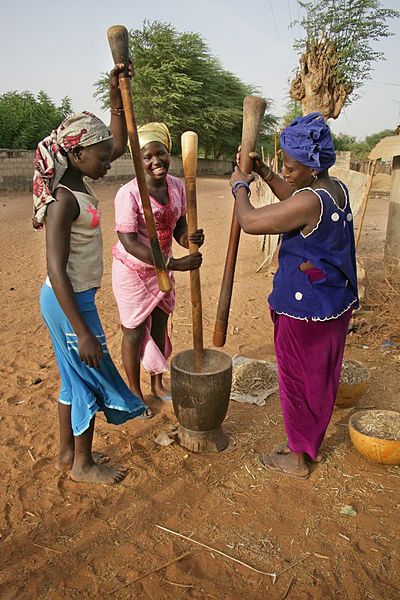 Women pounding grain, Senegal http://travelwithkat.com/2015/02/12/childs-life-senegal/#comment-9467 Senegal Travel, African Life, Afrique Art, Three Women, African People, Out Of Africa, Child Life, African Culture, People Of The World