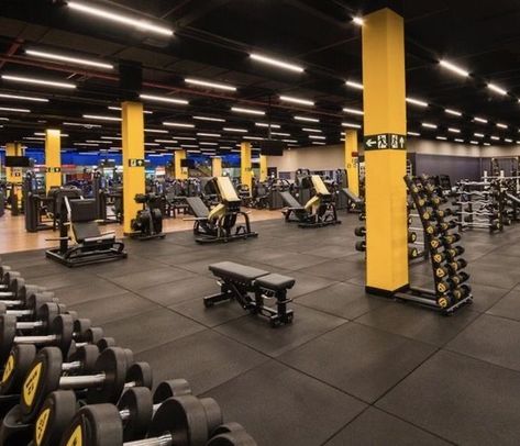 Fitness Design Gym, Commercial Gym Design, College Workout, Gym Lighting, Gym Design Interior, Gym Facilities, Basement Gym, Training Room, Gym Interior