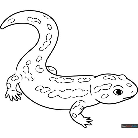 Free Salamander Coloring Page for Kids Salamander Drawing, Monkey Coloring Pages, Easy Drawing Guides, Free Printable Coloring Sheets, Drawing Guides, Salamanders, Kids Print, Printable Coloring Sheets, Animal Coloring