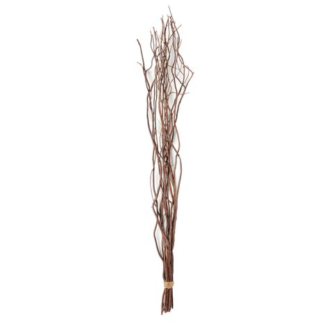 Natural Curly Willow by Ashland® | Michaels Curly Willow Centerpieces, Curly Willow Wedding, Flower Identification, Curly Willow, Touch Love, Fruit Arrangements, Willow Branches, Long Branch, Line Flower