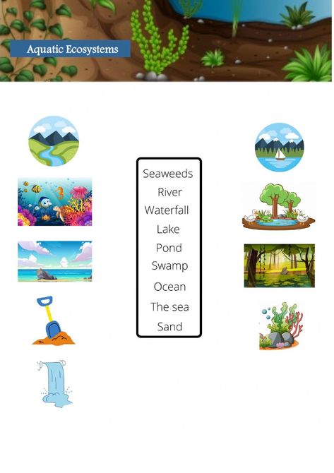 Worksheets For Grade 3, Aquatic Ecosystem, Vocabulary Worksheets, English As A Second Language, Second Language, Online Activities, School Subjects, Grade 3, Online Workouts