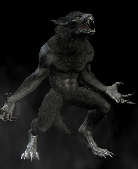 Anthro Animals, Werewolf Aesthetic, Werewolf Art, Wolf Pictures, Halloween Monster, 3d Artwork, Witch Art, Mythical Creatures Art, Monster Art