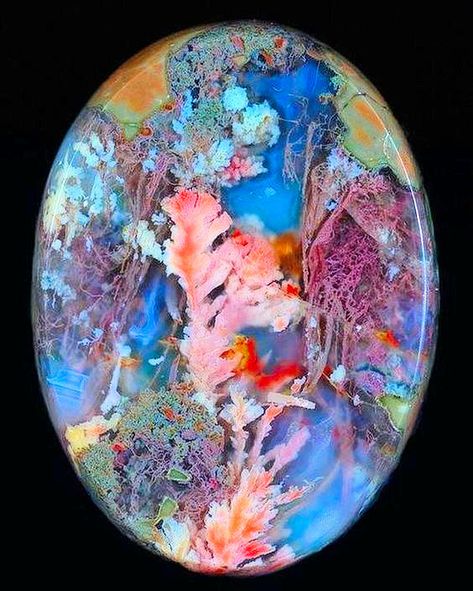 Rocks And Fossils, Plume Agate, Pretty Rocks, Cool Rocks, Beautiful Rocks, Minerals And Gemstones, Rocks And Gems, Patterns In Nature, Gems And Minerals