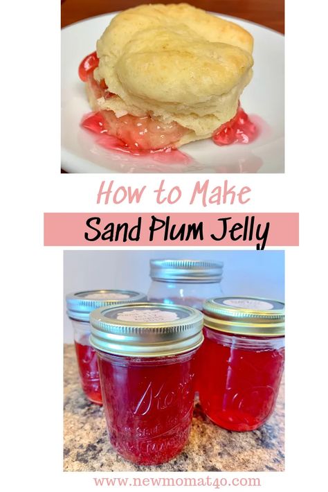 How to M recipeake Sand Plum Jelly for canning. #sandplum #sandplumrecipe #canning #fruitcanning #sandplumjelly #sandhillplum Parents With Child, How To Make Sand, Plum Juice, Easy Canning, Strawberry Rhubarb Jam, Plum Recipes, Rhubarb Jam, Biscuit Rolls, Jelly Recipes