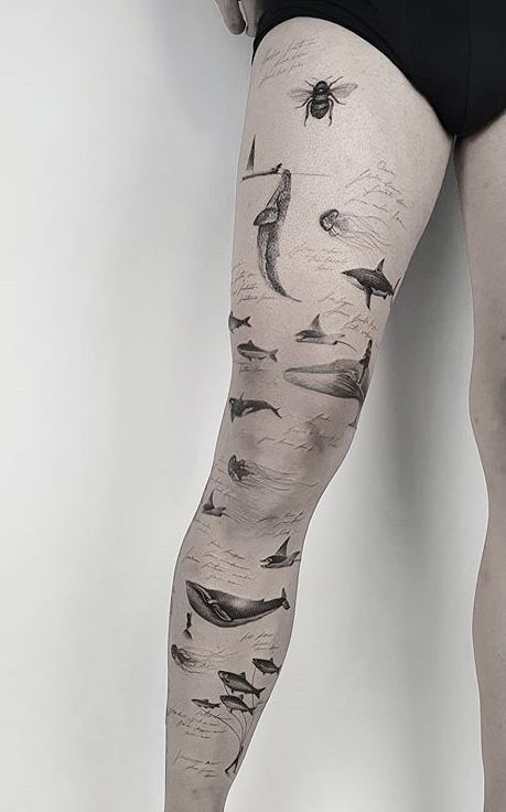 Animal Hip Tattoo, Shark Tattoo Sleeve, Arm Patchwork, Shark Tattoo Ideas, Dove Tattoos, Shark Tattoo, Bear Tattoos, Ornamental Tattoo, Shark Tattoos