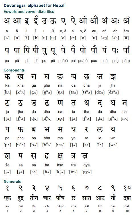 Hindi Alphabet Order Gallery C80 Brahmi Script, Hindi Script, Nepali Language, Learning Hindi, Manuscript Writing, Hindi Learning, Hindi Alphabet, Sanskrit Language, Hindi Language Learning