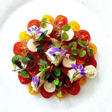 Chefslife on Instagram: “All credits to:@marianabsnostorres Salad of baby tomatoes, tuna, palm hearts seed sprouts virgin olive oil and Sherry vinegar.…” Caprese Salad Presentation, Palm Heart Salad, Caprese Salad Plating, Salad Plating, Palm Hearts, Beautiful Salads, Tapas Night, Salad Presentation, Ensalada Caprese