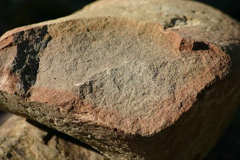 A freshly broken rock shows differential chemical weathering (probably mostly oxidation) progressing inward. This piece of sandstone was found in glacial drift near Angelica, New York Mechanical Weathering, Physical Weathering, Chemical Weathering, My Library, Event Photographer, Cats Illustration, Earth Science, Photoshop Design, Rocks And Minerals