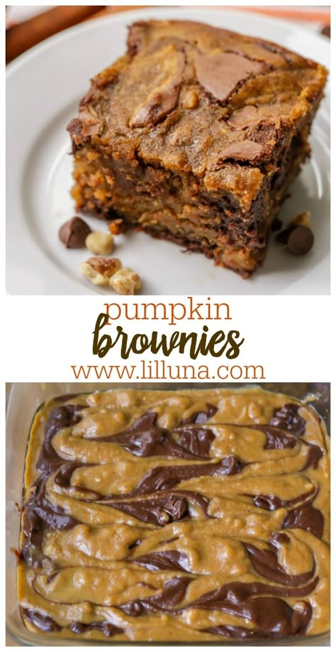 The yummiest Pumpkin Brownies you will ever taste! Pumpkin, chocolate, and spices unite to make one pan of deliciousness that will sure to satisfy anyone's pumpkin addiction. #pumpkinbrownies #pumpkinbrowniesrecipe #brownies #pumpkin #dessert Pumpkin Fudge Brownies, Fall Brownies Ideas, Fall Brownies, Pumpkin Swirl Brownies, Pumpkin Brownies, Swirl Brownies, Pumpkin Treat, Pumpkin Recipes Dessert, Pumpkin Desserts