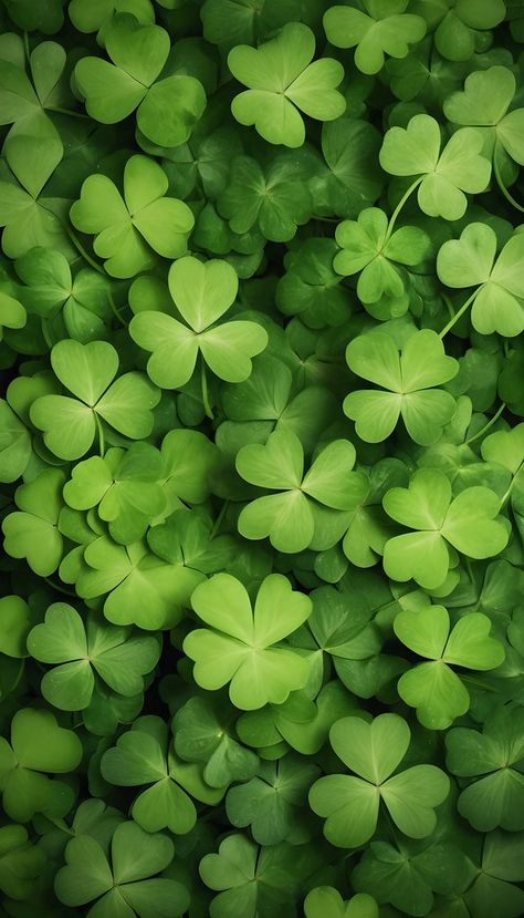 St Patricks Day 4K backgrounds and wallpaper St Patrick Wallpaper, St Patricks Day Aesthetic, Irish Wallpaper, St Patricks Day Background, St Patricks Day Wallpaper, Background Mobile, Irish Garden, Irish Pub, 4k Background