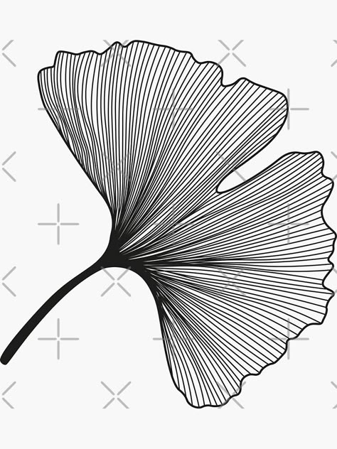 "Ginkgo Biloba leaves pattern - black and white" Sticker by PrintablesP | Redbubble Gingko Leaves Drawing, Gingko Art, Ginkgo Leaf Pattern, Ginkgo Art, Ginko Biloba, Leave Pattern, Black And White Leaves, Gingko Leaves, Black And White Stickers