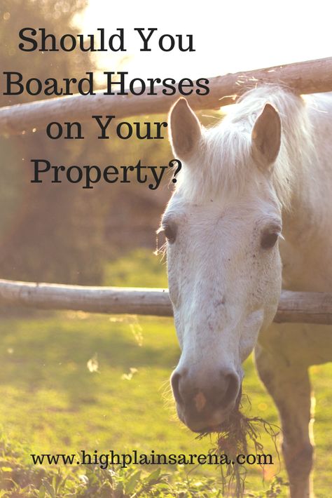 Horse Farm Ideas Stables, Horse Boarding Ideas, Horse Boarding Business, Homestead Land, Horse Braids, Horse Lifestyle, Ranch Plans, Equine Facility, Stable Management