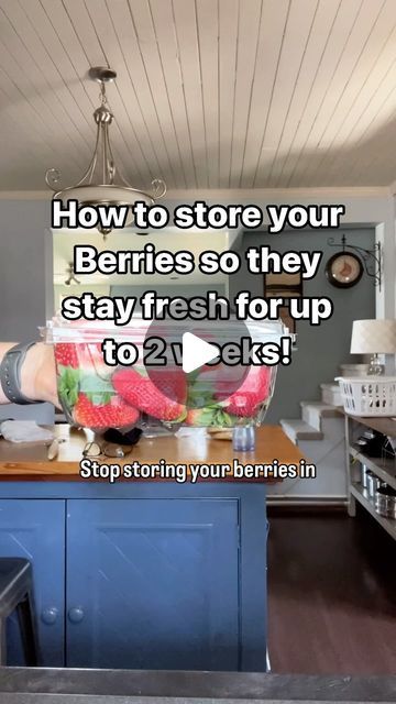 Dar - Save Money on Groceries on Instagram: "How many times have your berries gone bad the day after you bring them home?  Say BYEEEE to berries gone BAD with these simple storage tips!   🙌🏻Make sure you smash that Follow button to keep learning about ways to save money on your groceries  Here’s the Berry low-down ⤵️  If you’re like me you love to watch those berries right away but if you want them to last longer try this.  1. Fill glass bowl or sink with water and add 1/2 cup of vinegar  2. Agitate them for a few seconds and then let them sit in the water for 5 min  3. Grab a container with lid or reuse a mason jar and line with paper towel  4. Add berries to the container of choice 5. Top the berries with another piece of paper towel and put lid on tight  6. Turn the container upside d How To Keep Fresh Fruit Longer, Cleaning Berries, Storing Strawberries, Storing Berries, Cleaning Produce, Strawberry Mice, Store Strawberries, Air Fryer Recipes Chicken Breast, Fruit Hacks