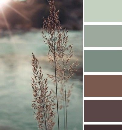 Colour Outfit, Mixing Paint Colors, Flat Color Palette, Color Mixing Chart, Color Design Inspiration, House Color Palettes, Paint Color Schemes, Color Schemes Colour Palettes, Bedroom Wall Colors