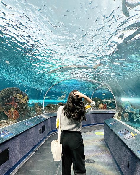 Ocean Park Outfit Ideas, Cute Aquarium Outfit, Aquarium Outfit Ideas, Aquarium Outfit, Aquarium Photos, Aquarium Pictures, Aquarium Ideas, Park Pictures, Ocean Park